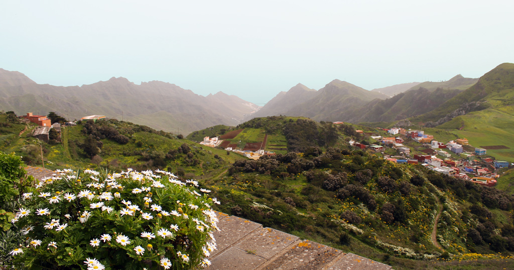 Green Nature Panorama Tenerife