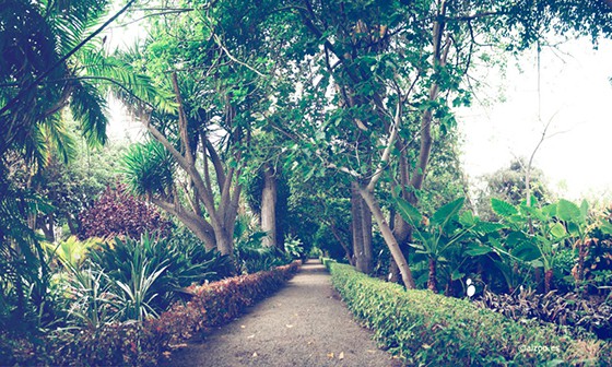 Botanical Garden