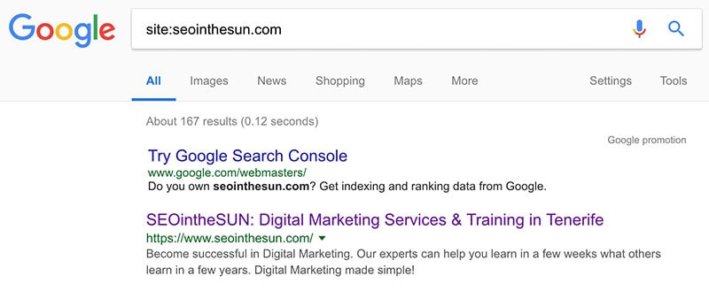 Google Site Search