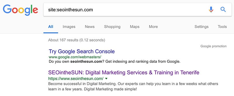 Google Site Search Google Site Search